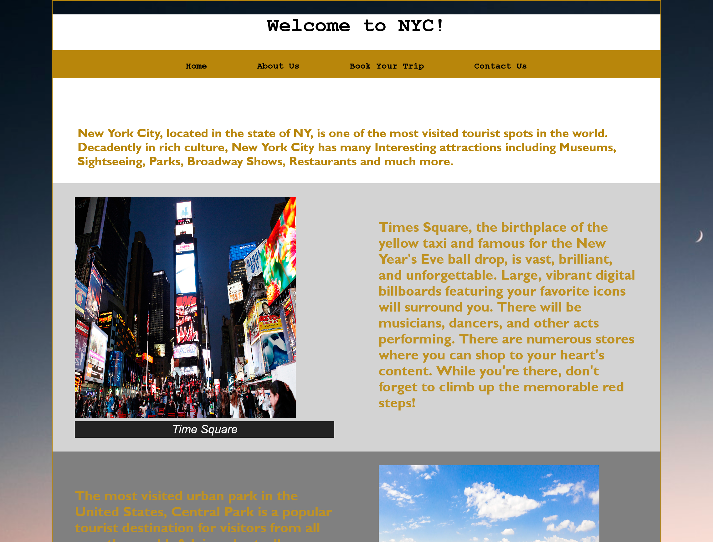 NYC Travel Website